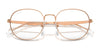 Ray-Ban RX6517D Eyeglasses | Size 55 / Black №2509