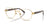Ray-Ban RX6543 Eyeglasses / Arista Gold №2500