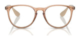 Ray-Ban ERIKA RX7046 Eyeglasses | Size 51