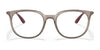 Ray-Ban RX7190 Eyeglasses / Havana №2012 / Size 53