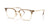 Ray-Ban NEW CLUBMASTER RX7216 Eyeglasses / Beige On Gold №8471