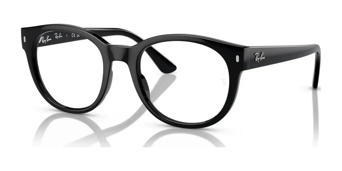 Ray-Ban RX7227 Eyeglasses | Size 53 / Black №2000