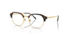 Ray-Ban RX7229 Eyeglasses / Havana On Gold №2012 / Size 51