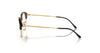 Ray-Ban RX7229 Eyeglasses / Black On Silver №2000 / Size 51