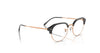 Ray-Ban RX7229 Eyeglasses / Black On Silver №2000 / Size 51
