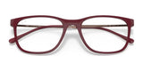 Ray-Ban RX7244 Eyeglasses