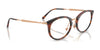 Ray-Ban RX7255 Eyeglasses / Black №2000 / Size 51