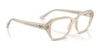 Ray-Ban SHEA RX7258 Eyeglasses / Black №8260 / Size 51
