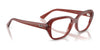 Ray-Ban SHEA RX7258 Eyeglasses / Black №8260 / Size 51