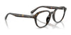 Ray-Ban RX7259D Eyeglasses | Size 52 / Black №2000