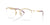Ray-Ban RX7553 Eyeglasses / Arista Gold №3218