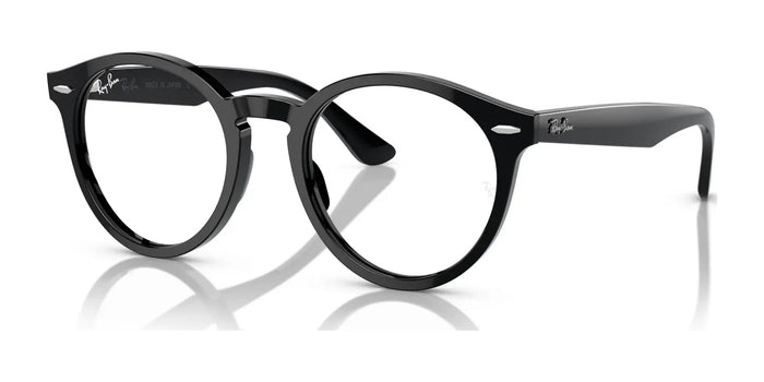Ray-Ban LARRY RX7680V Eyeglasses / Black №2000 / Size 49