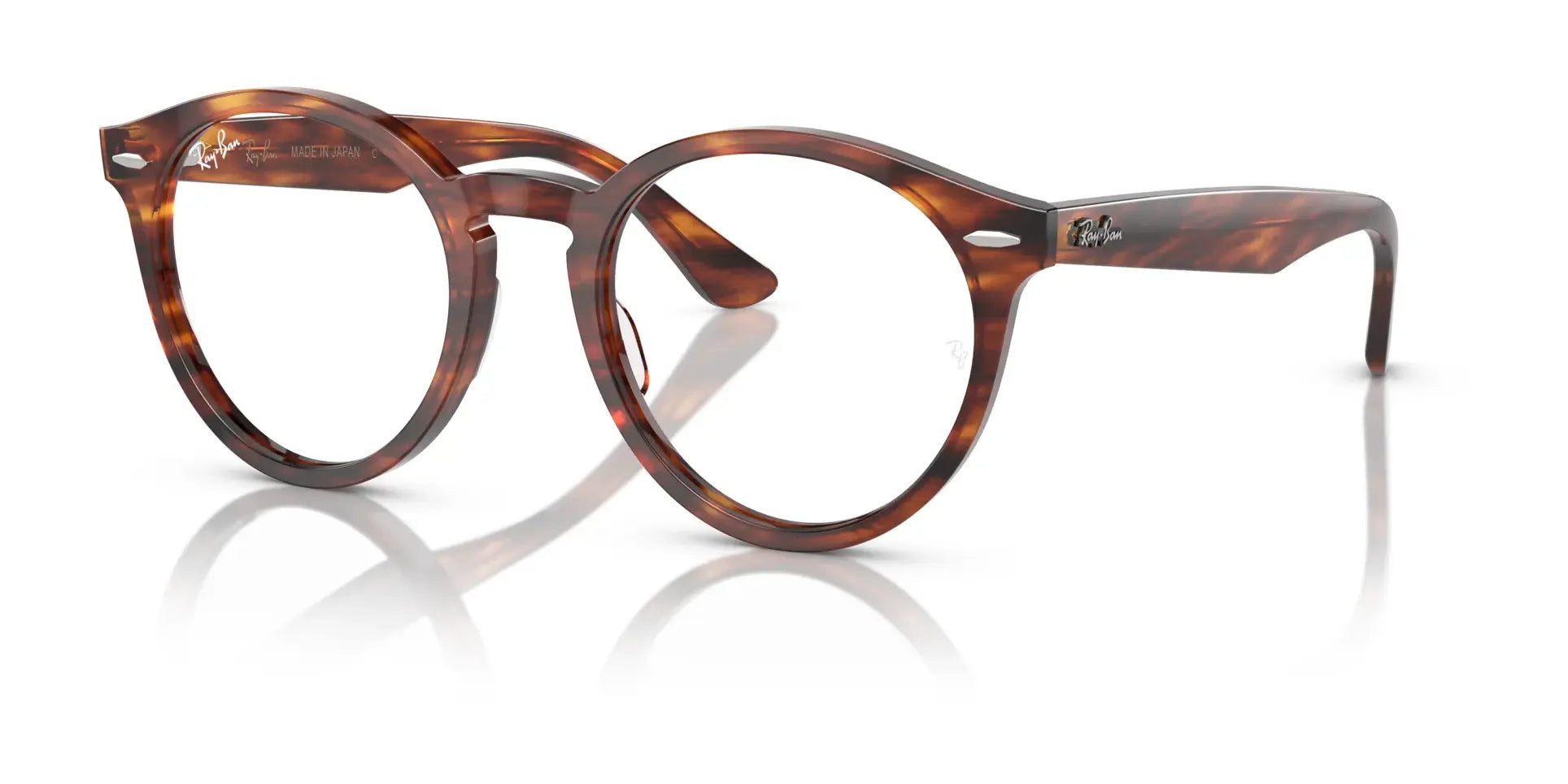 Ray-Ban LARRY RX7680V Eyeglasses Striped Havana