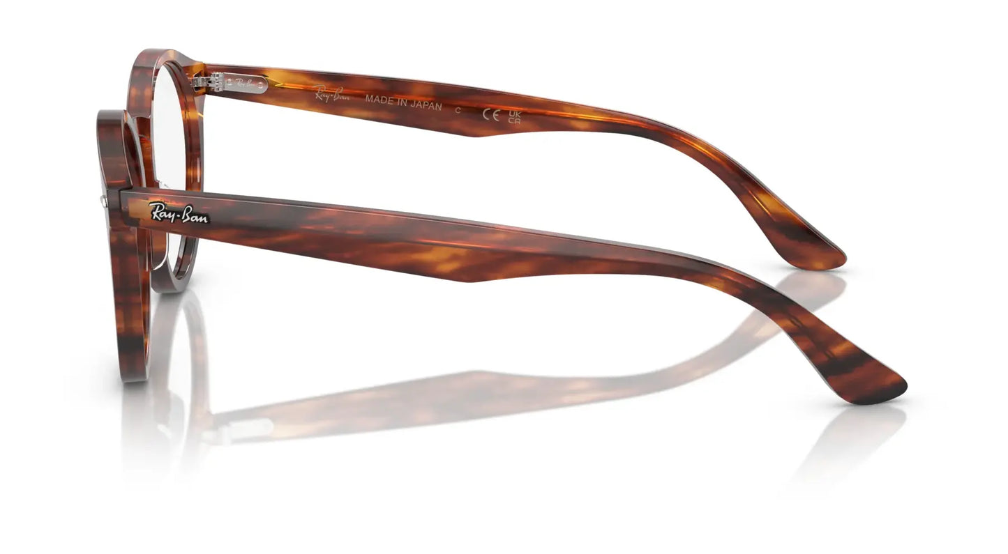 Ray-Ban LARRY RX7680V Eyeglasses | Size 49