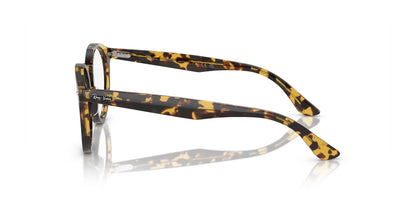 Ray-Ban LARRY RX7680V Eyeglasses