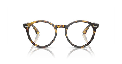 Ray-Ban LARRY RX7680V Eyeglasses