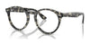 Ray-Ban LARRY RX7680V Eyeglasses / Grey Havana №8117 / Size 49