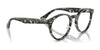 Ray-Ban LARRY RX7680V Eyeglasses / Black №2000 / Size 49