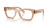 Ray-Ban JOSEPH RX7683V Eyeglasses | Size 55 / Transparent Light Brown №8553