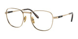 Ray-Ban FRANK TITANIUM RX8258V Eyeglasses Arista Gold