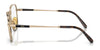 Ray-Ban FRANK TITANIUM RX8258V Eyeglasses | Size 48 / Arista Gold №1220 / Clear