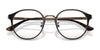 Ray-Ban RX8770D Eyeglasses | Size 48 / Black №3151