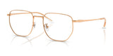 Ray-Ban RX8776D Eyeglasses | Size 53