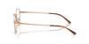Ray-Ban RX8777D Eyeglasses | Size 53 / Black №1244