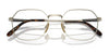 Ray-Ban JIM TITANIUM RX8794 Eyeglasses | Size 53 / Light Brown №1245