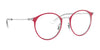 Ray-Ban RY1053 Eyeglasses | Size 45 / Red On Silver №4066
