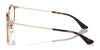 Ray-Ban RY1053 Eyeglasses | Size 45 / Red On Silver №4066