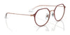 Ray-Ban RY1058 Eyeglasses / Black On Gold №4086 / Size 47
