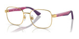 Ray-Ban RY1059 Eyeglasses Arista Gold