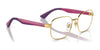 Ray-Ban RY1059 Eyeglasses / Arista Gold №4051 / Size 47