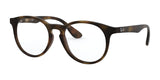 Ray-Ban RY1554 Eyeglasses Havana