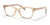 Ray-Ban RY1591 Eyeglasses / Brown Striped Multicolor №3809