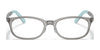 Ray-Ban RY1613D Eyeglasses | Size 49 / Black №3876