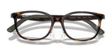 Ray-Ban RY1614D Eyeglasses