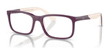 Ray-Ban RY1621 Eyeglasses