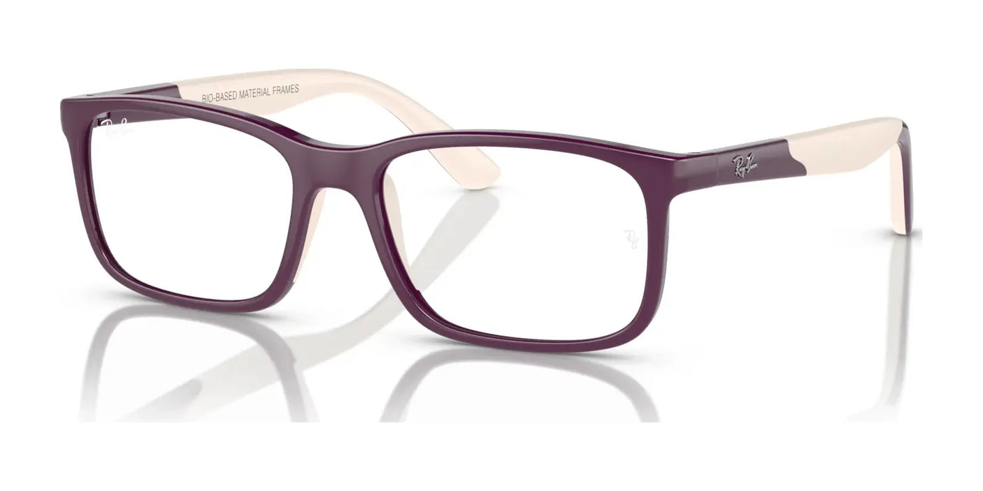 Ray-Ban RY1621F Eyeglasses Purple On Light Brown