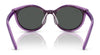Ray-Ban RY1625DC Clip-On Sunglasses | Size 47 / Pink On Red №391273 / Dark Brown (3N 13.5%)