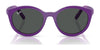 Ray-Ban RY1625DC Clip-On Sunglasses | Size 47 / Pink On Red №391273 / Dark Brown (3N 13.5%)