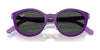 Ray-Ban RY1625DC Clip-On Sunglasses | Size 47 / Pink On Red №391273 / Dark Brown (3N 13.5%)