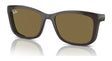 Ray-Ban RY1626DC Clip-On Sunglasses Green On Havana / Dark Brown