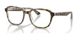 Ray-Ban RY1627 Eyeglasses Havana On Transparent