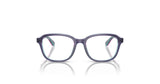 Ray-Ban RY1627 Eyeglasses