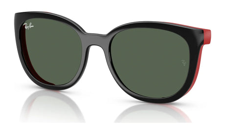 Ray-Ban RY1631C Sunglasses