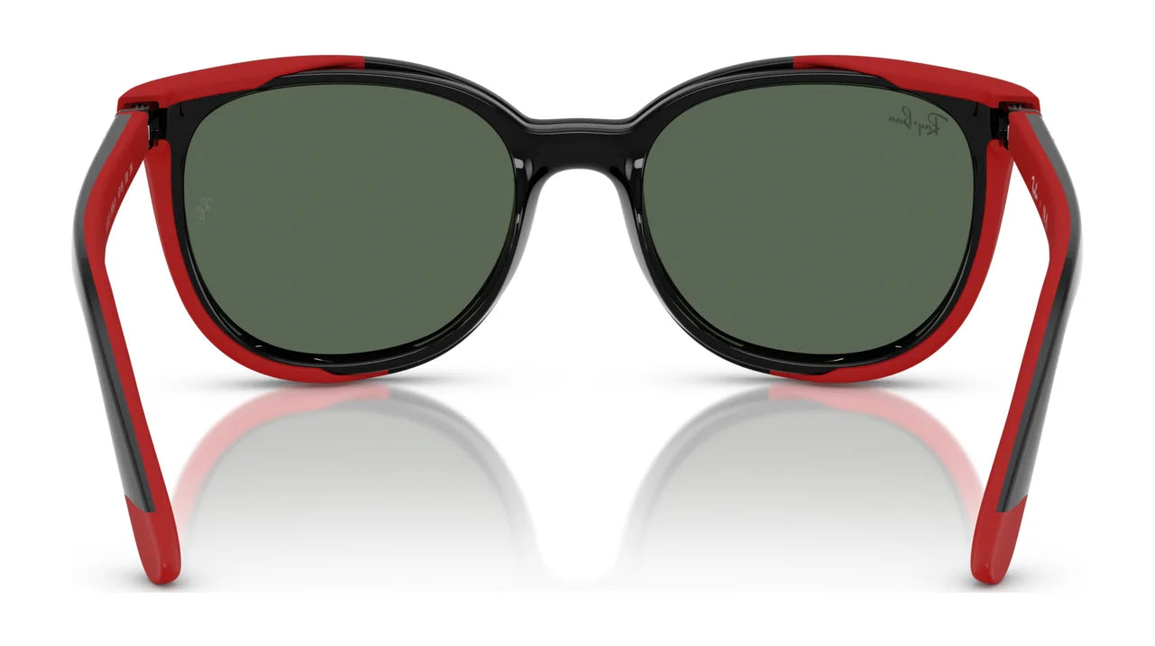 Ray-Ban RY1631C Sunglasses