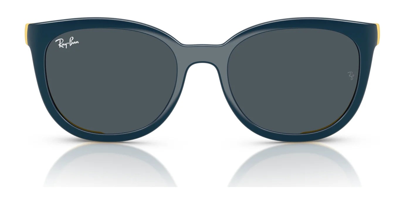 Ray-Ban RY1631C Sunglasses