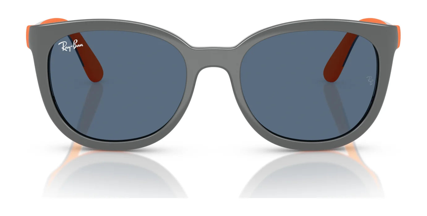 Ray-Ban RY1631C Sunglasses